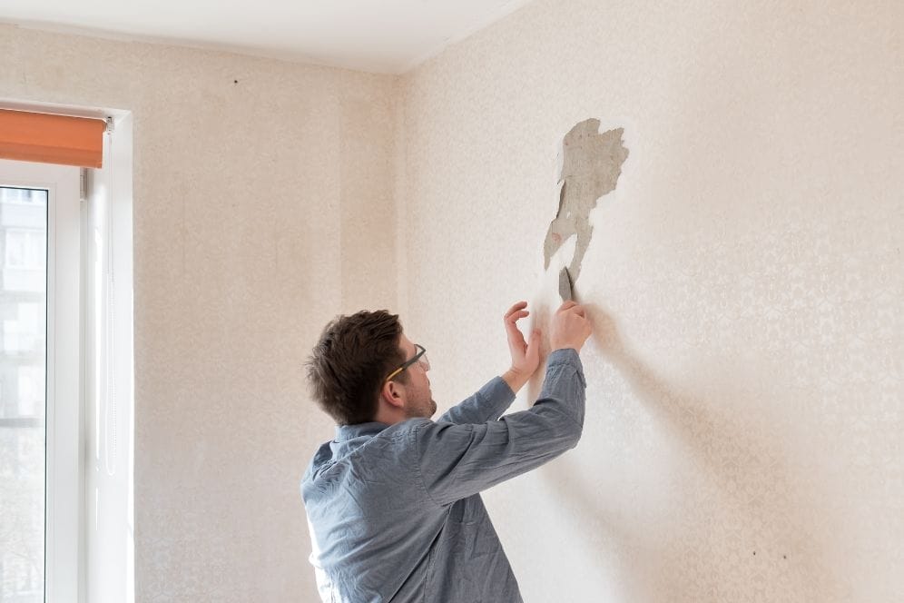 Cea mai bună tencuială decorativă - cum o alegi și cum o aplici? 1 cea mai buna tencuiala decorativa silvesrom