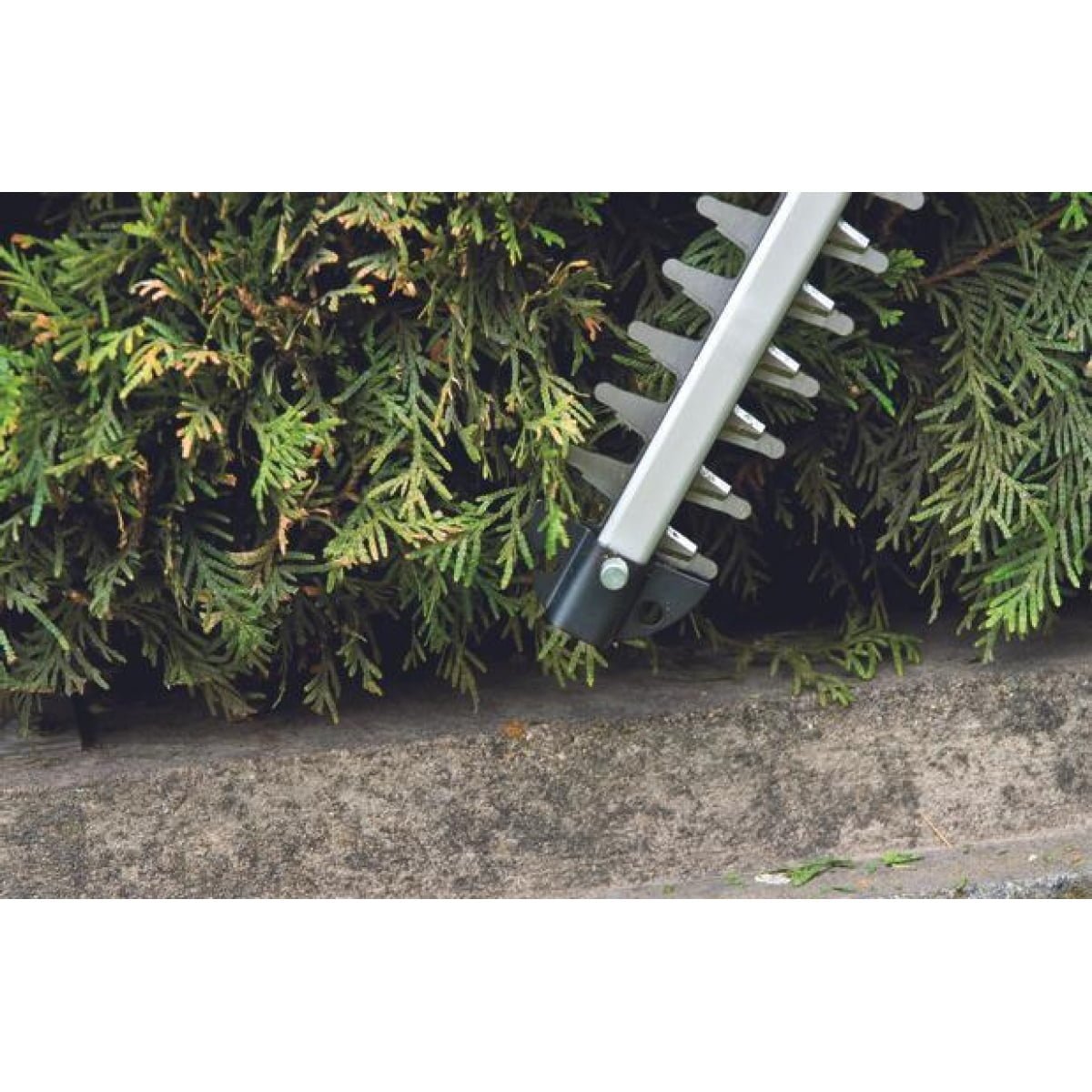 Trimmer gard viu, GC-CH 1855/1 Li Kit, 1 x 2.5 Ah, Einhell - imagine 3