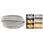 Banda led flexibila IP20 – 2835/240smd/10mm 12v/22w/6000k (rola 5m)