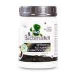 Activator Mr.Bacteria nr. 10, pentru descompunerea grăsimilor din sifoane și separatoare de grăsimi, 500 g