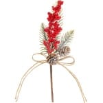 ramura decorativa fructe poza