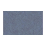 Tapet Vinil Erismann Carat 1007844 Uni Color, 10 x 0.53 m