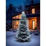 Instalație luminoasă MagicHome Crăciun verticală, 216 LED, 1,8 m — imagine ilustrativă